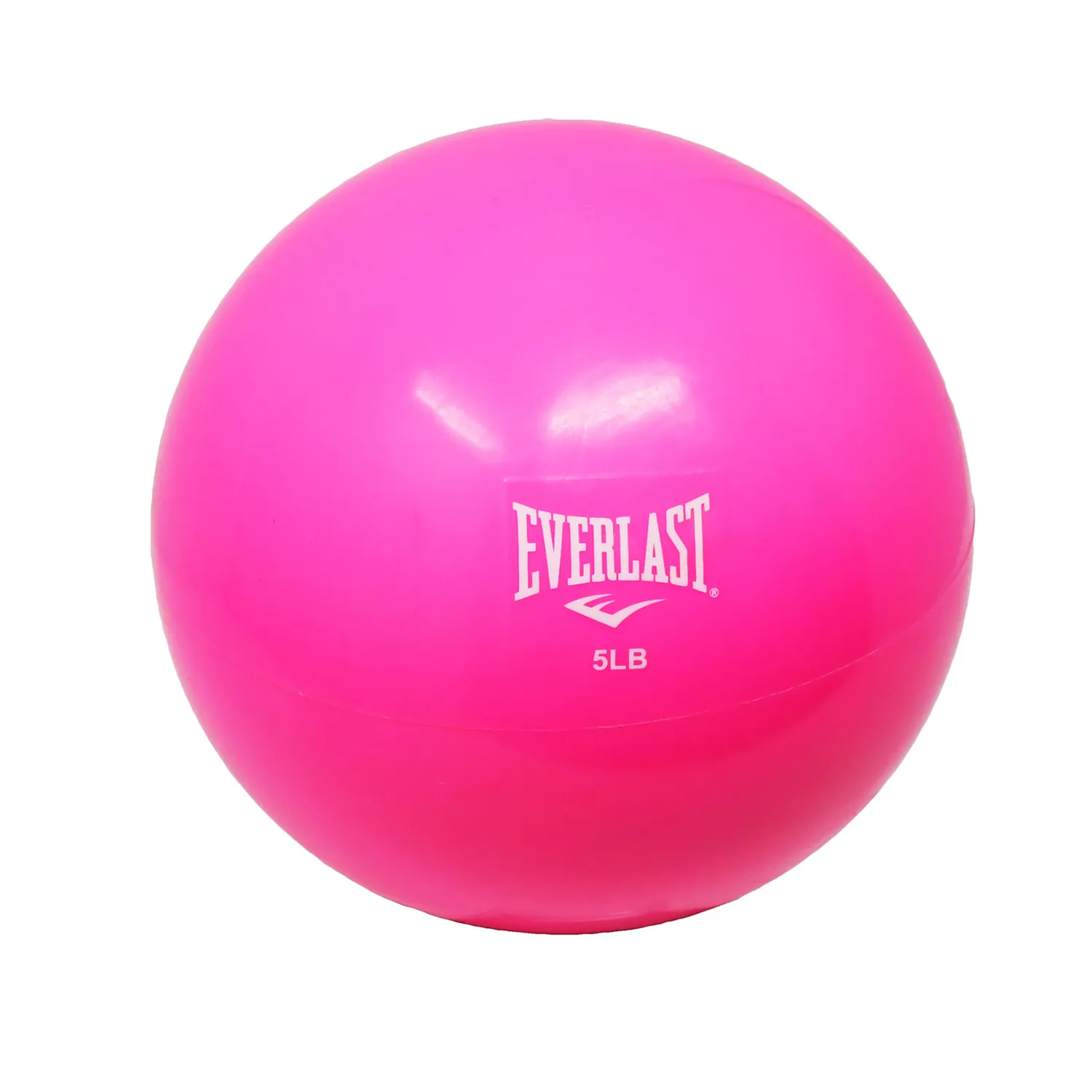 Everlast fitness ball best sale